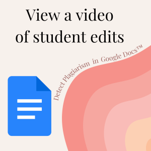 Google Docs Draftback to See Typing History