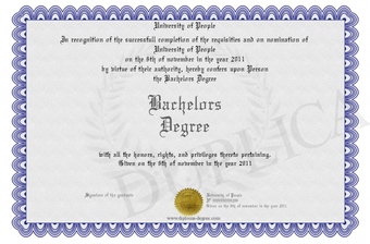 Computer & Technology,software developer,SEO website,SEO Service,programmer technology