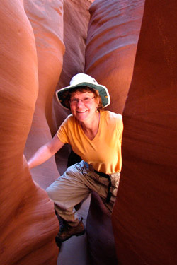 Computer & Technology,software developer,SEO website,SEO Service,programmer technology