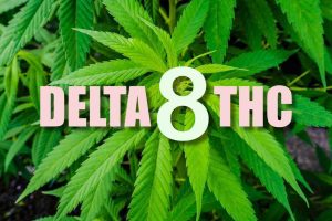 Are There Any Legal Concerns Surrounding the Use of Delta-8 THC?