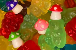 Finding Balance: Selecting Mushroom Gummies for Your Health Goals
