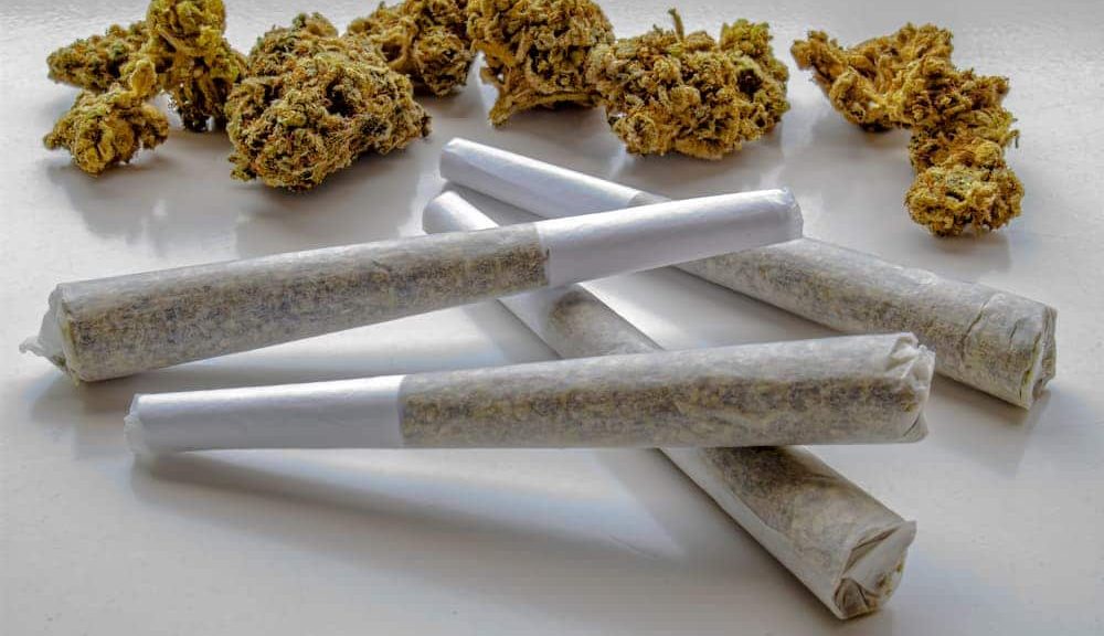THCA Pre-Rolls: A Natural Solution for Stress Relief and Pain Management