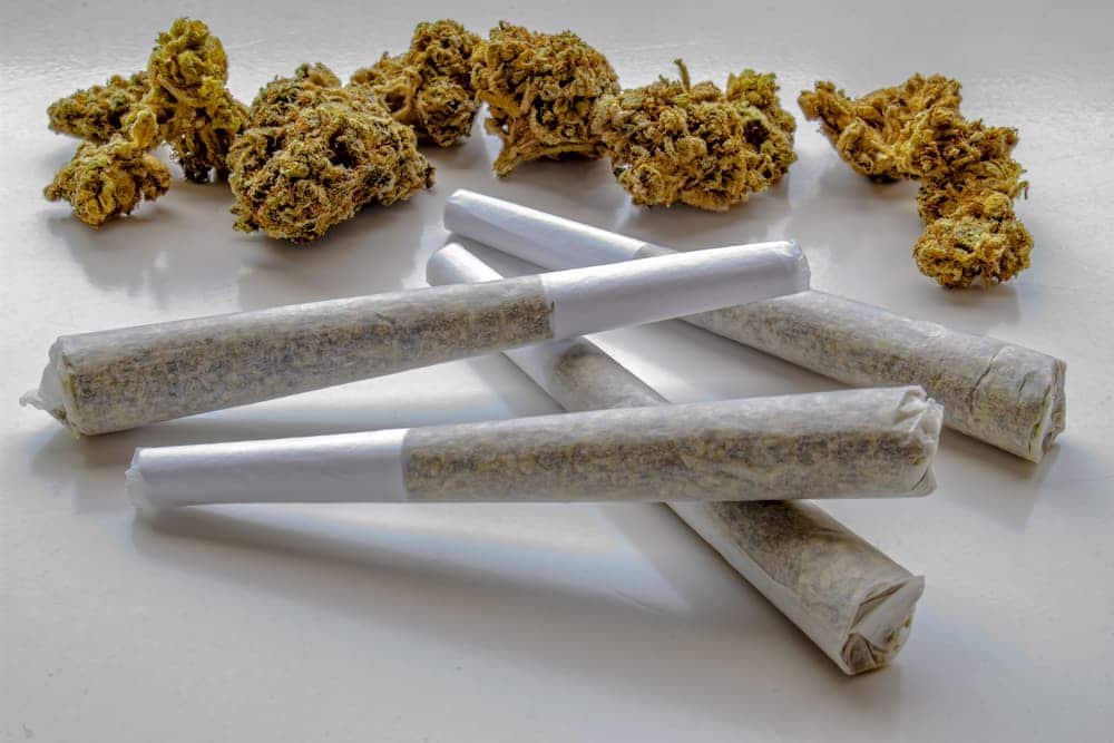 THCA Pre-Rolls: A Natural Solution for Stress Relief and Pain Management
