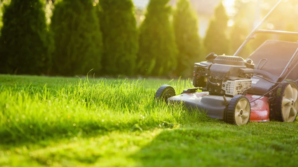 The Benefits of Aeration and Overseeding
