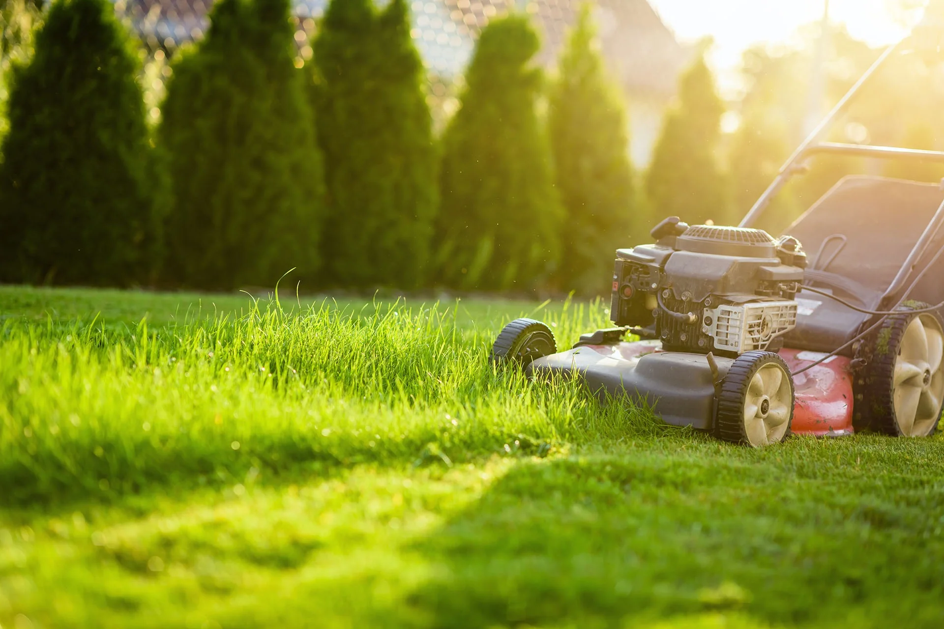 The Benefits of Aeration and Overseeding
