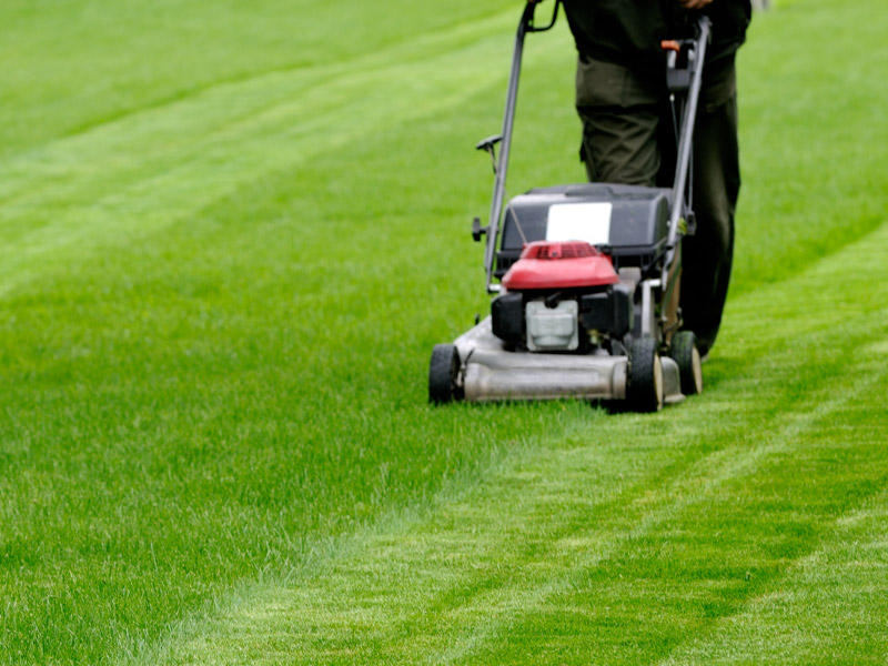 Alexandria, MN Lawn Care